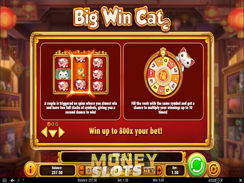 New Big Win Cat Slot Release - PlayN Go Casinos